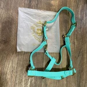 Turquoise Idoggos/Icavalos halter